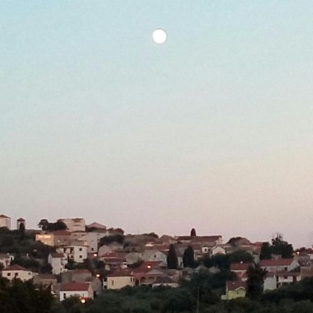 Apartman Ante Appartamento Vrgada Esterno foto